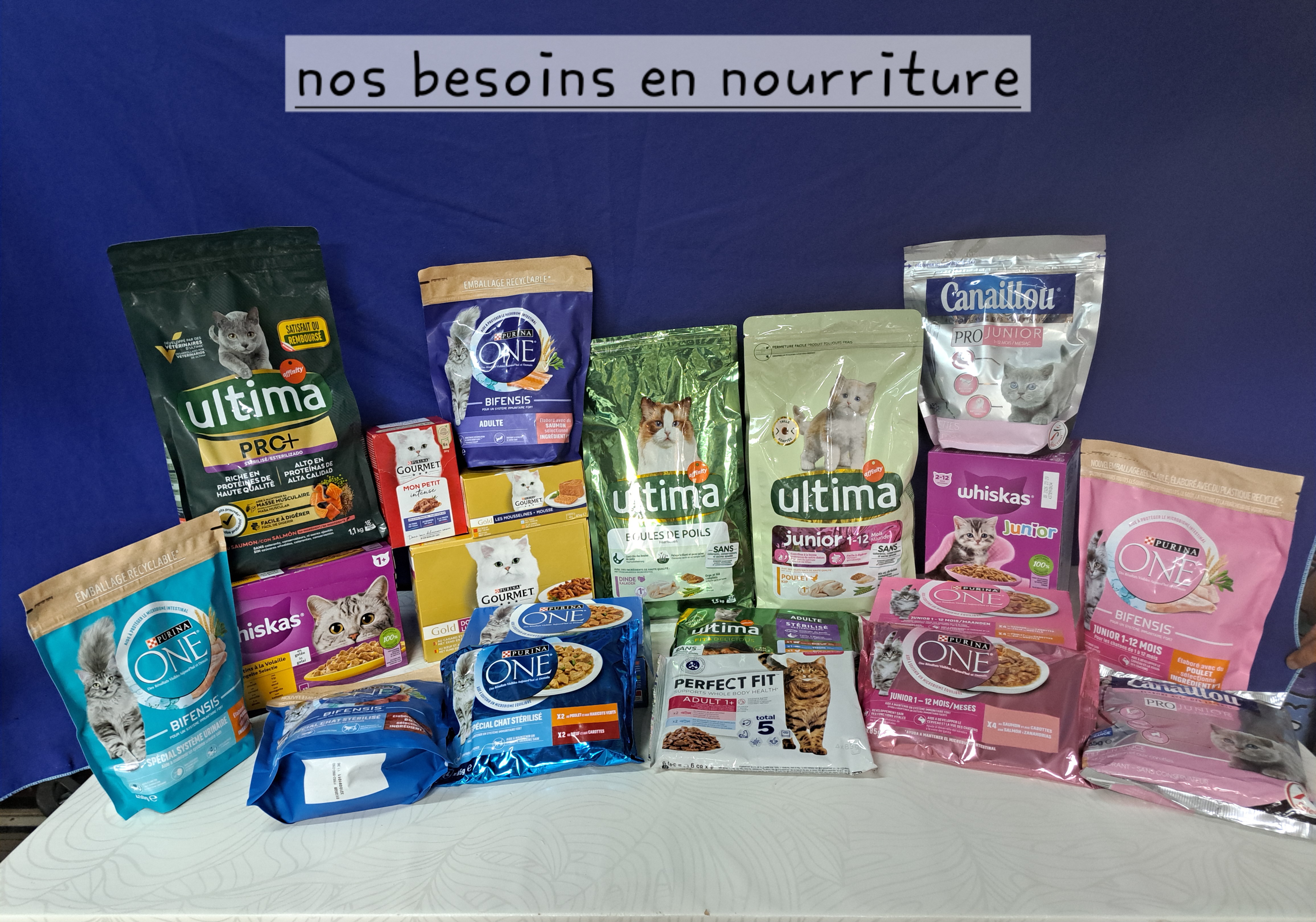 Collecte à l'INTERMARCHE d' Aigrefeuille d' Aunis.